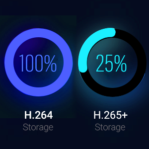 Advanced H.265+ Video Format
