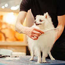 professional hairdressing scissors hair scissors for men