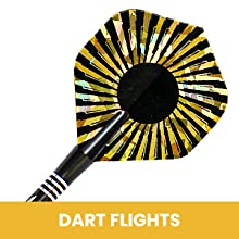 Darts Flight 
