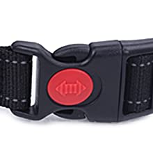 safety buckle
