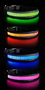 led dog collar