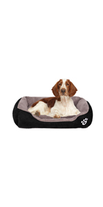 dog bed