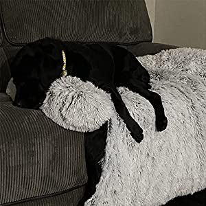Plush Calming Dog Bed Fur Pet Sofa Pet Couch Dog Bed
