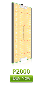 2000w led grow light