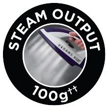 100 g steam output