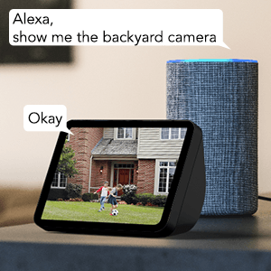 Works with Alexa