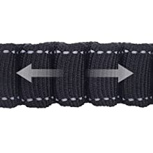 bungee leash