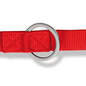 Lead, mounting ring.