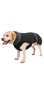 dog winter jacket