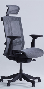 Realm of Thrones Commodore Ergonomic Office Chair