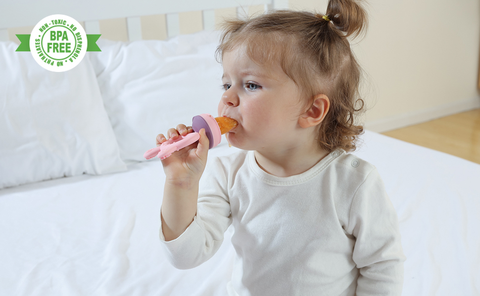 Baby Fruit Food Feeder