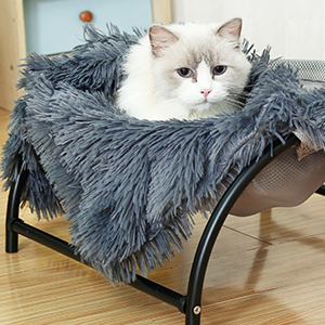 cat hammock bed