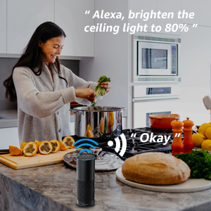 LE LampUX Smart Ceiling Light