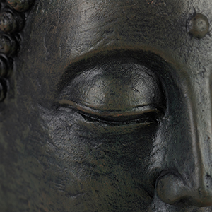 feng shui figure