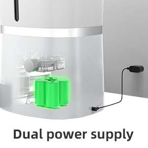 Dual power supply