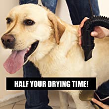 Half your Drying time