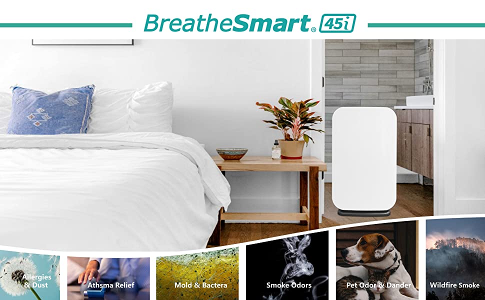 pack large mould air purifier home pet p filter smoke remover pruifer extractor cigarettes 