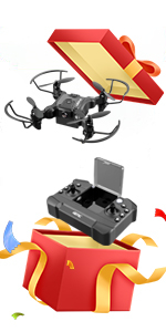 mini drone