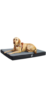dog bed