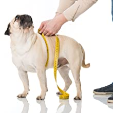 puppy skin, nose and paw, Hypoallergenic Skin for dog, Help Prevent excessive itching, chewing, skin