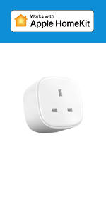 plug