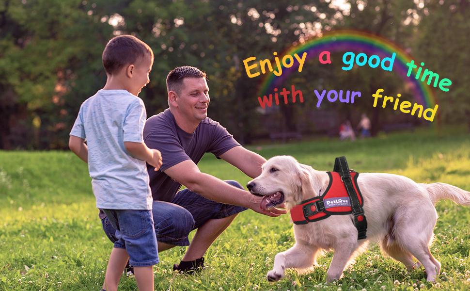 Dog Harness
