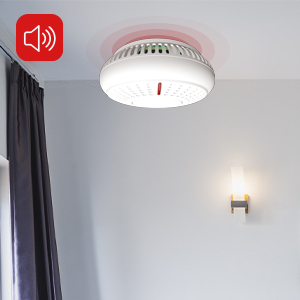 ANKA Wireless Smoke Alarm