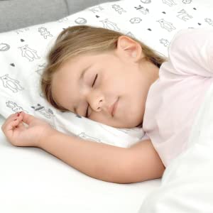Toddler Pillow with Pillowcase, Jumbo 14X20 - Soft Organic Cotton Baby Pillows for Sleeping