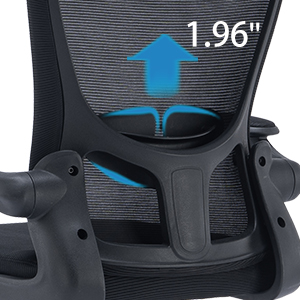 Wing-back Lumbar Support