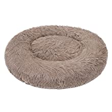 brown dog bed