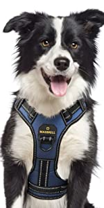 dog vest harness