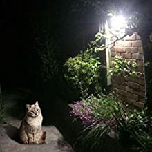 Lighting for Garden