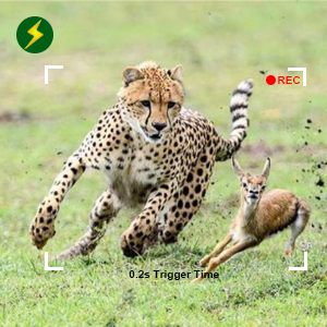 E9 trail camera 0.2s trigger time