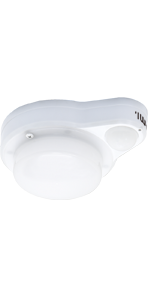 Ceiling/Wall Motion Sensor Light