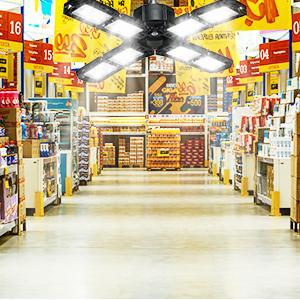LED Garage Light