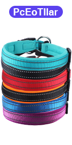 Padded Dog Collar