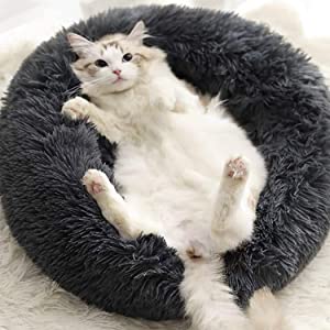 plush dog bed