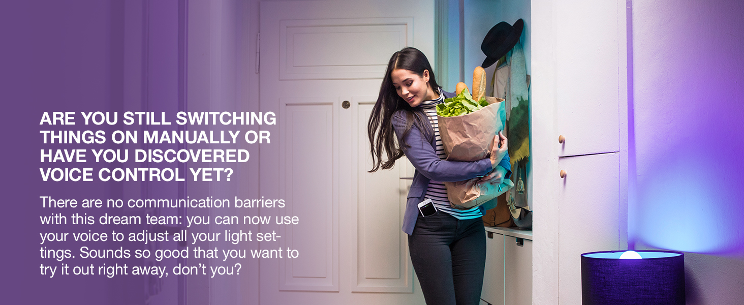 Ledvance Voice Control