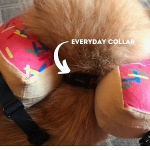 Lucy Everyday Collar