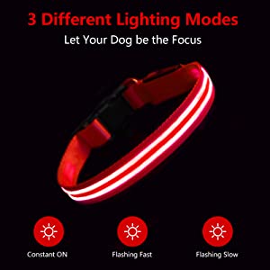light up dog collar small