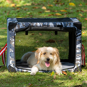 dog crate