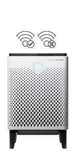 Coway Airmega 300s/300