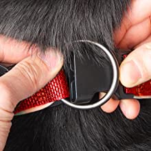 Then, across the buckle through the O-ring.