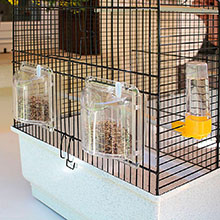 FOTO 3 dettaglio mangiatoie girevoli Canto 52501217_3