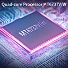 Processor
