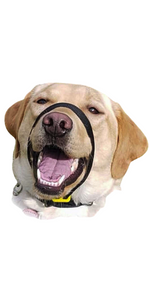 Canny Collar anti pull head collar - black