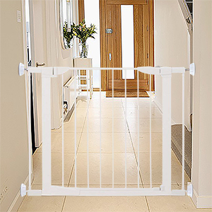 gate