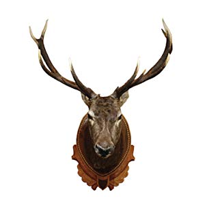 Costumes plus sizes.