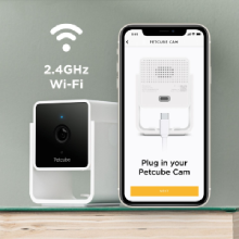 Petcube Cam plug in