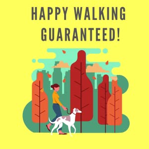 The Canny Collar is guaranteed